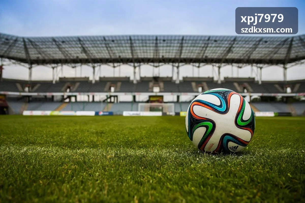 xpj7979 质检模块展示